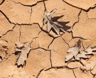 Participación en el reportaje "&iquest;Qué están haciendo los países para combatir la sequía?" de BBVA